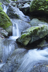 西丹沢本棚の滝.