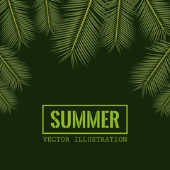Obraz premium green color background with side border decorative palm leaves and rectangular frame with summer text vector illustration