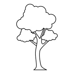 tree icon over white background vector illustration