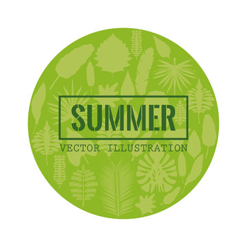 white background with circular frame with decorative green leaves inside and rectangular frame with summer text vector illustration