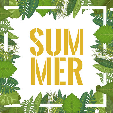 white background with border decorative green leaves and summer text inside vector illustration