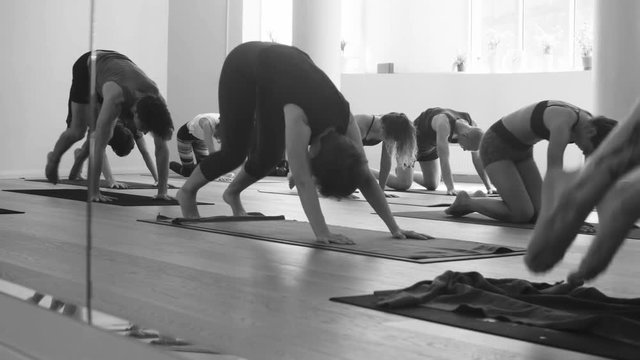 Group of people doing yoga asanas in studio