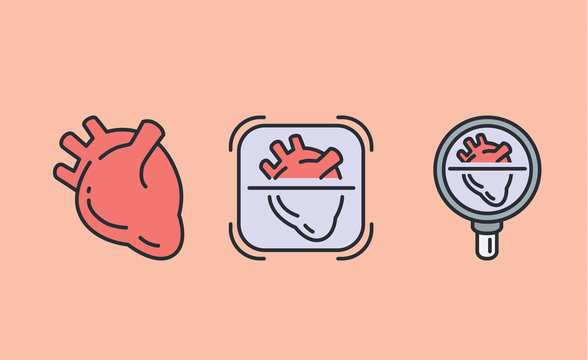 3 heart icon with Magnifying glass. Illustration about medical check concept and internal organ
