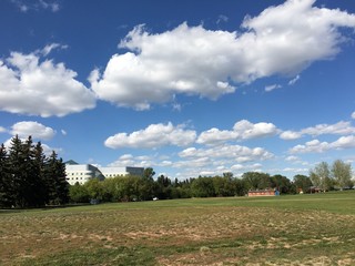 Potash Crop Park Saskatoon