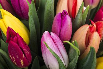 Beautiful bouquet of tulips 