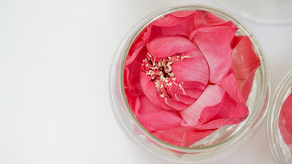Pink lotus, water lily decorate in glass. Modern style theme for wedding and valentines