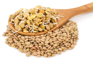 Sprouted lentils