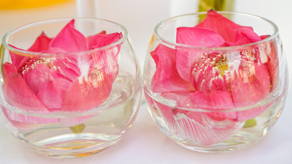Pink lotus, water lily decorate in glass. Modern style theme for wedding and valentines