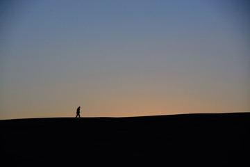 Naklejka na ściany i meble Sand dune silhouette