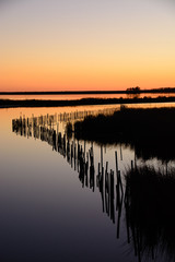 Balckwater NWR, MD