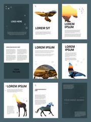 The minimalistic animal vector illustration of editable layout of high definition presentation slides design business templates. Hexagonal style decoration for flyer, report, advertising, brochure.