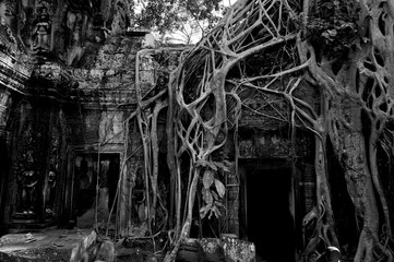 アンコールワットのタプローム