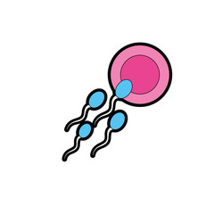 ovum with spermatozoon to biology fertilizacion procreation