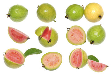 collection guava fruits
