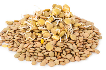 Sprouted lentils