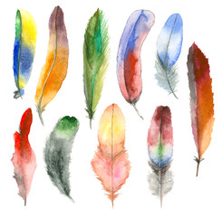 Watercolor feather set
