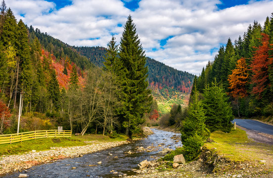 river in autumnal countryside with spruce forest