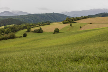 green valley landscape 