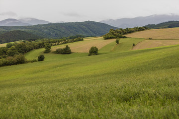 Fototapeta premium green valley landscape 