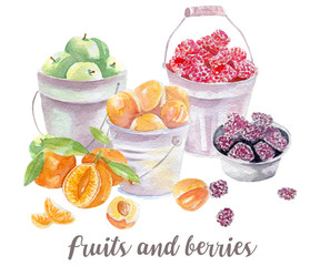 Fruits illustration. Hand drawn watercolor on white background.