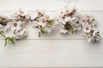 Flor del almendro sobre madera blanca