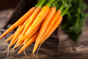 Fresh organic carrot