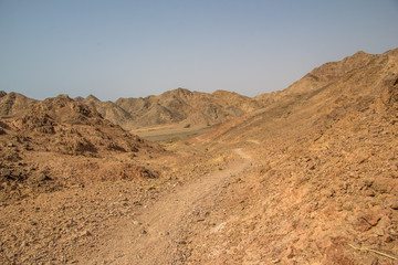 Wild mountains 