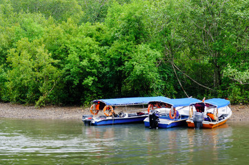 three blue boats parked on a sandy bank of a river. The thick forest starts just as the small bank ends. Shot in Langkawi Malaysia