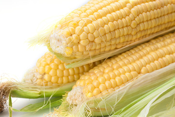 Maize
