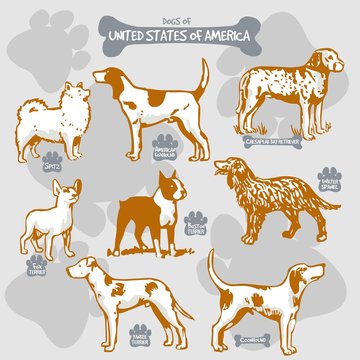 Dogs breeds of the world vector draw and shilouette on isolated illustration by countries with names, United States of America