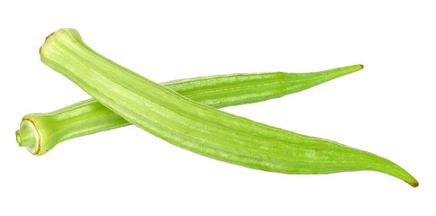 Young okra isolated on the white background