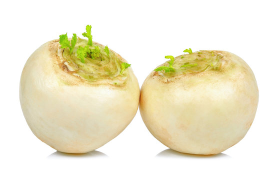 White Turnip Isolated On The White Background