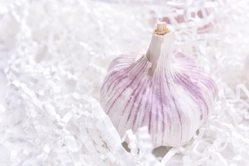 Fresh garlic closeup.