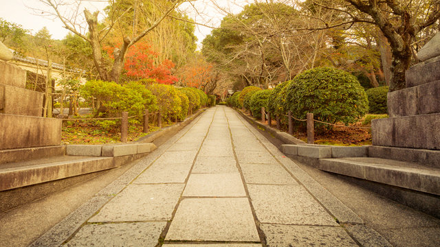 move forword on vintage street with green tree and branch without leave at both side at kiyomizu japan