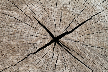Crack in the wood (closeup, background, texture)