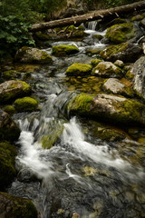 Stream in the mountains