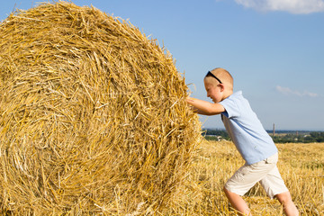 Naklejka na ściany i meble Man prepares the hay in the field