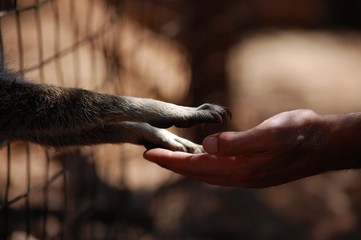 handshake