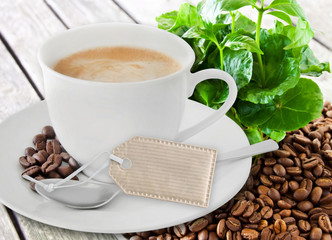 Coffee,  label and coffee plant