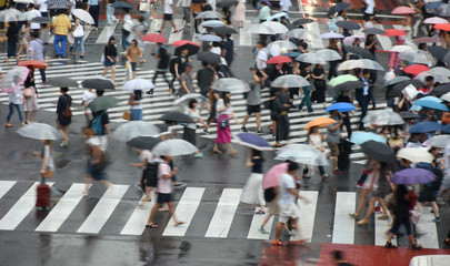日本の東京都市風景・東京・渋谷のスクランブル交差点の雑踏（雨）