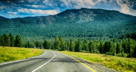 Empty road in altai mountains near meadow and coniferous forest © VarnakovR