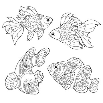 Coloring page of goldfish and clown fish. Freehand sketch drawing for adult antistress coloring book in zentangle style.
