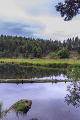 Am Nonnenmattweiher