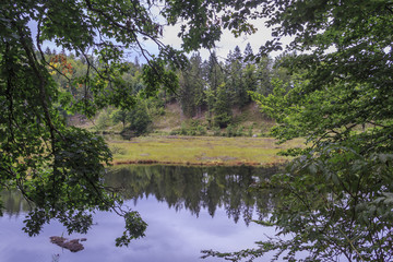 Am Nonnenmattweiher