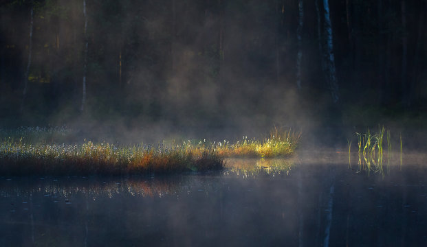 Fototapeta Jezioro o poranku