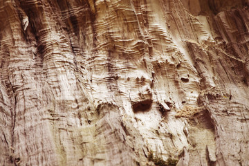 Old rich wood dirty texture background with knots