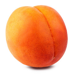 Fresh apricot isolated on white background