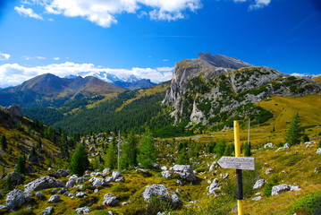 Edelweiss Stellung Valparola Pass
