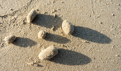 Abstract light and shadow on beach.