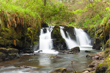 Obraz premium Beautiful water cascade in Clare Glens